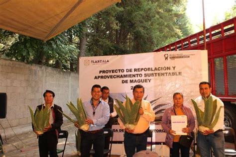 Entrega Sia M S De Mil Plantas De Maguey A Poblaci N Productora E