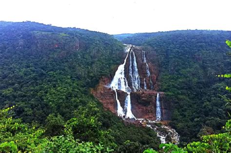 Travel Tips These Waterfalls Of Odisha Are Very Beautiful Definitely