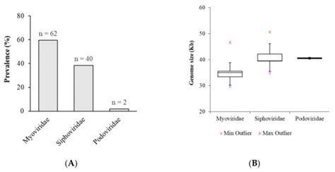 Microorganisms Free Full Text Genomic Analysis Of Prophages From