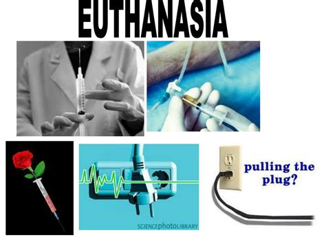 Ppt Euthanasia Powerpoint Presentation Free Download Id2610493