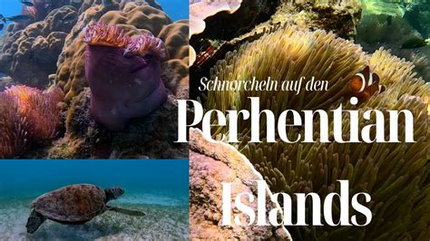 Schnorcheln Auf Den Perhentian Islands Vlog 10 YouTube