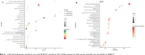 Figure 3 From Screening And Identification Of Key Biomarkers Of