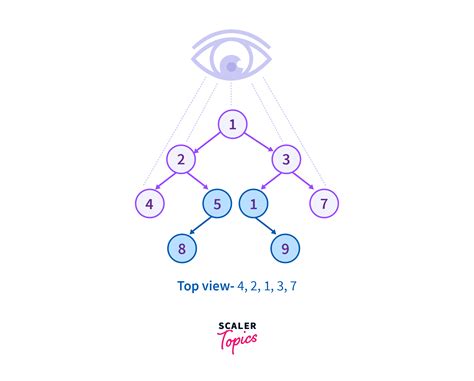 Top View Of Binary Tree Scaler Blog