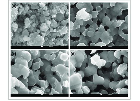 a Surface morphology FESEM image of La 2Àx Sr x NiO 4 with x 0