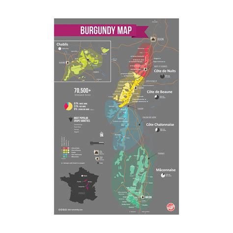 Burgundy Map - Wine Folly - Touch of Modern