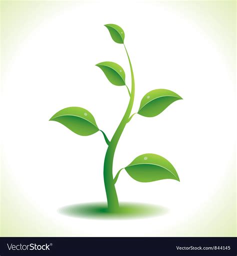 Green plant Royalty Free Vector Image - VectorStock