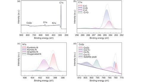 A Carbon Catalyst Doped With Co And N Derived From The Metal Organic