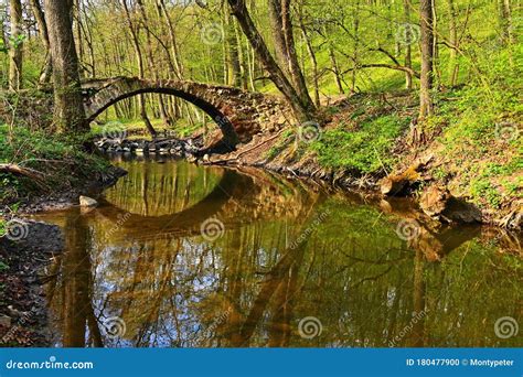 Beautiful Old Bridge Over A Stream In The Woods Natural Green