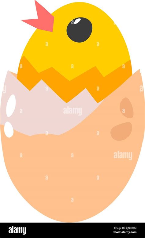 Hatching In The Nest Stock Vector Images Alamy