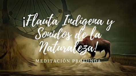 Música Para Relajarse Con Flauta Indigena Y Sonidos De La Naturaleza Relajar La Mente Y Dormir