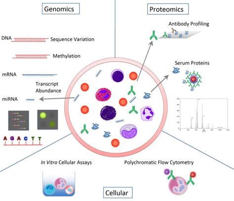 The Immune Profiling Armamentarium The Number Of High Throughput