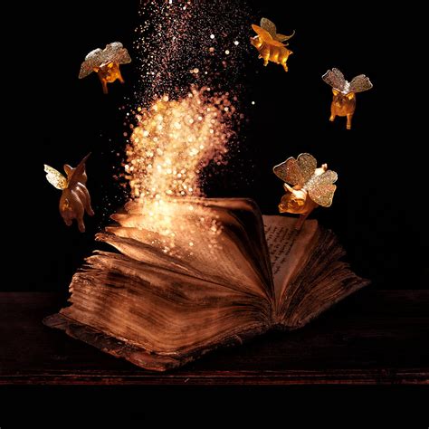 Magic Book Photograph By Floriana Barbu Fine Art America