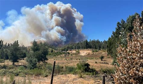 Declaran Alerta Roja En Quillón Por Incendio Forestal Fuego Se Acerca