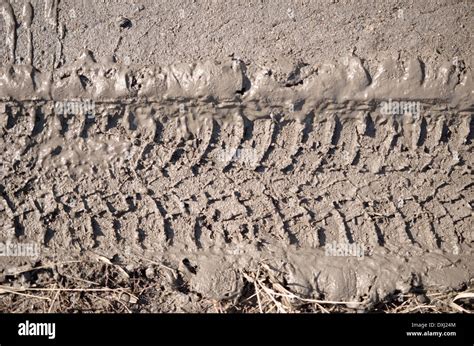 Tire Tracks In The Mud Stock Photo 68008996 Alamy