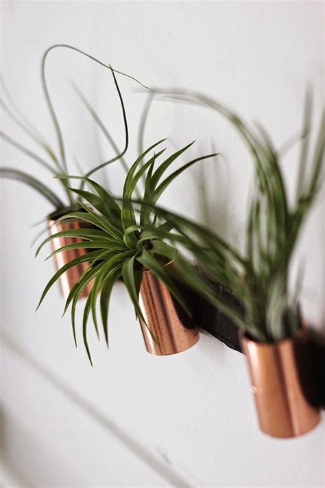 Minimal Copper Airplant Holders Air Plants Diy Air Plant Holder