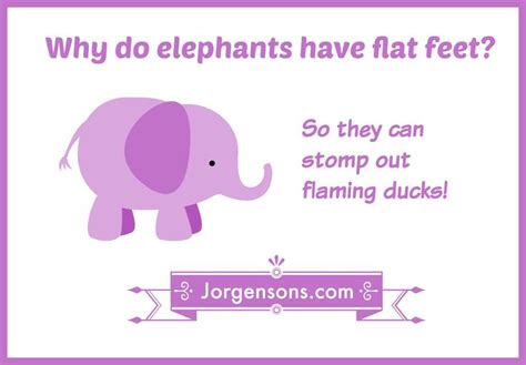 78 Best images about Elephant Jokes! on Pinterest | Funny, Jokes and Buses