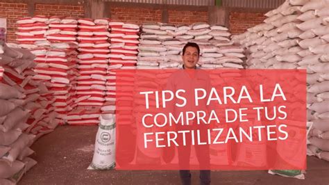 Fertilizante Tips Generales Para La Compra Y Uso De Fertilizantes