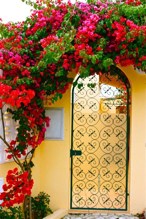 12 Fabulous Floral Garden Gates In Bold Color The Art In Life