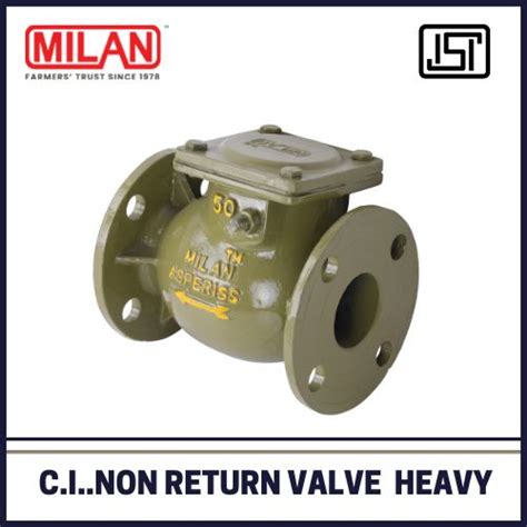 High Cast Iron Non Return Valves For Water Fitting Size 50 100mm At