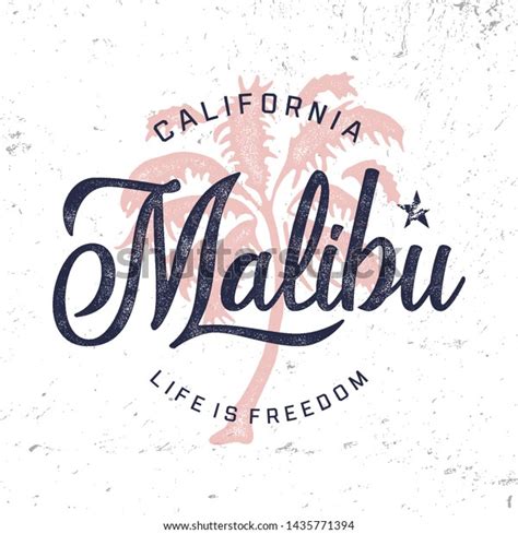 California Malibu Vintage Apparel Print Design Stock Vector (Royalty ...