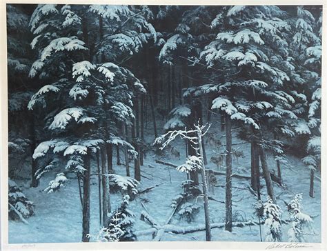 Robert Bateman Forest With Wolves — Cobalt Art Gallery