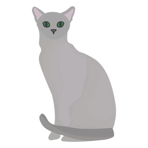 Russian Blue Cat Illustration Png And Svg Design For T Shirts