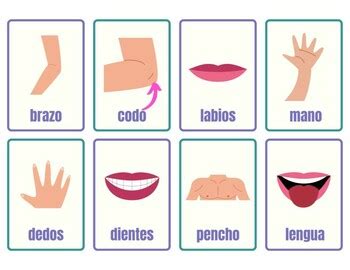 Body Parts In Spanish Flashcards By Mr Rueda Tpt