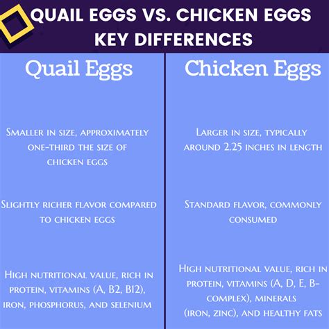 What Is The Difference Between Quail Eggs And Chicken Eggs