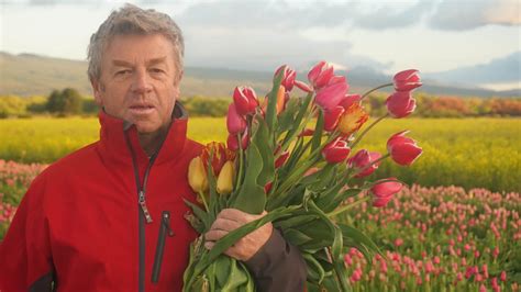 El Campo De Tulipanes De Trevelin La Increíble Explosión De Colores Que Dura Sólo Un Mes Al Año