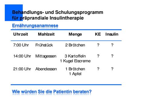 Behandlungs Und Schulungsprogramm F R Pr Prandiale Insulintherapie