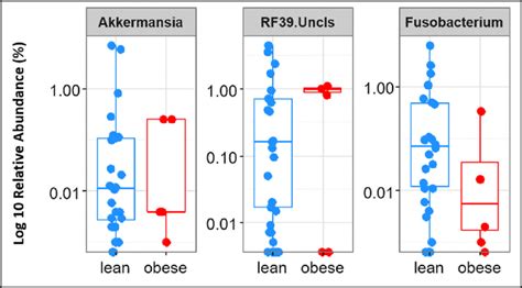 16 The Relative Abundance Of Akkermansia RF39 And Fusobacterium In