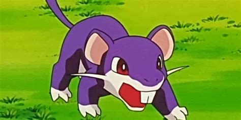 Pokémon How Rattata Could Beat Goku