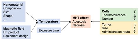 Molecules | Free Full-Text | Magnetic Hyperthermia for Cancer Treatment ...