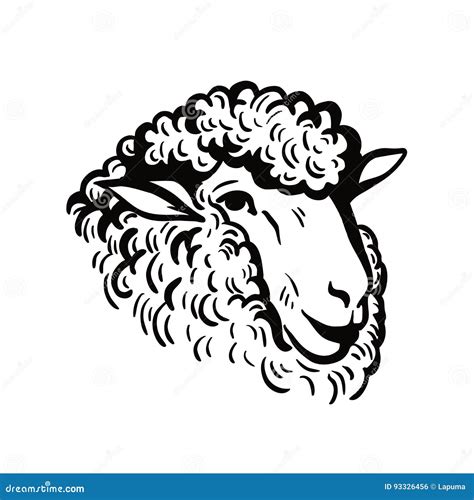 Head Of Sheep Silhouette Cartoon Vector | CartoonDealer.com #133267773