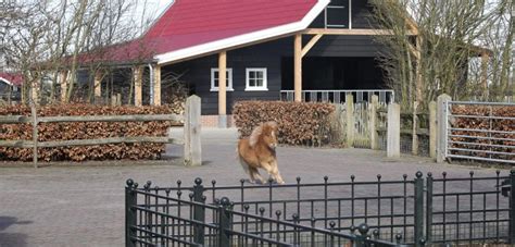 Veulens Stal Vd Valkenhof