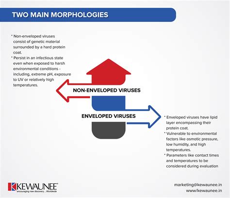 Decoding Virus Morphologies: Enveloped vs. Non-Enveloped | Kewaunee