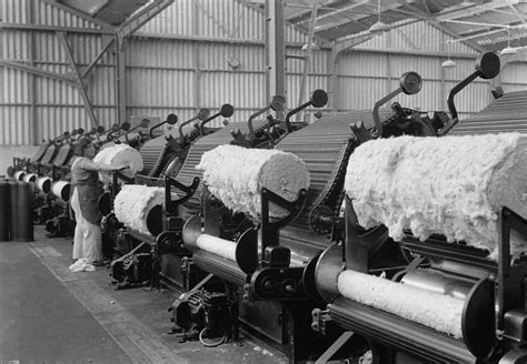 This is a image of machines with cotton. This machine took all the ...