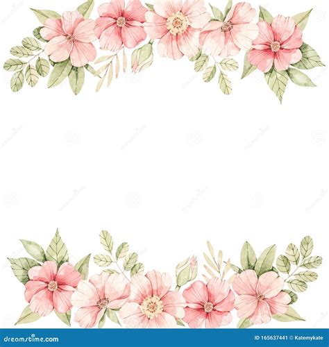 Illustration Botanique De Laquarelle Cadre Avec Floraison De Rose