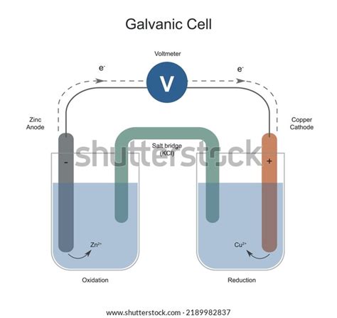 Galvanic Cell