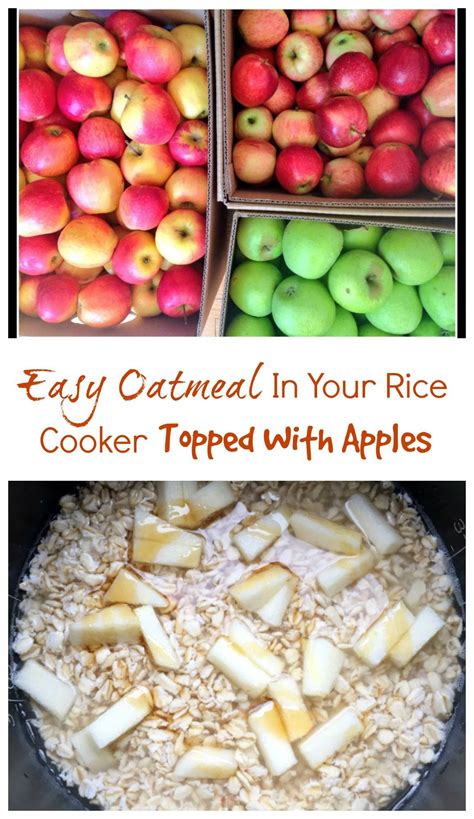 Easy Oatmeal in a Rice Cooker - Erin Brighton