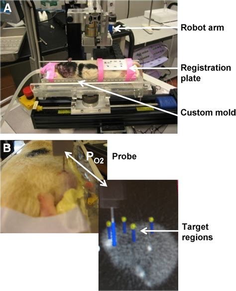 Image Guided Po2 Probe Measurements Correlated With Parametric Images