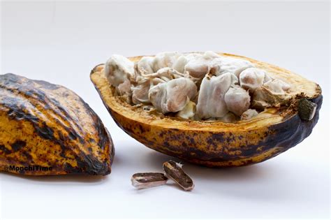 6 curiosas razones para festejar el Día Nacional del Cacao y el