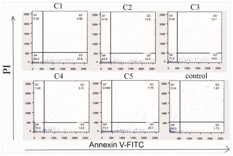 Pd II Complexes C1 C5 Reduce The Viability Of Treated DU 145 Cells