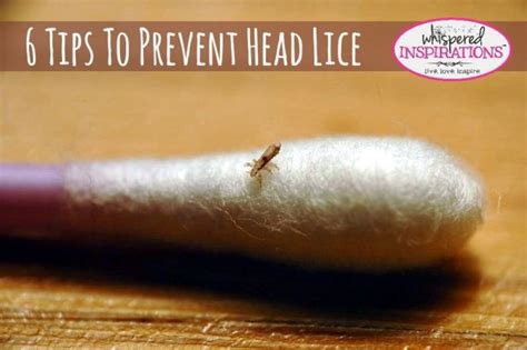 6 Ways To Prevent Head Lice Whispered Inspirations