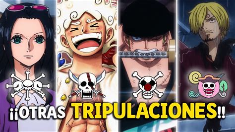 La Otra TripulaciÓn De Los Mugiwara One Piece Youtube