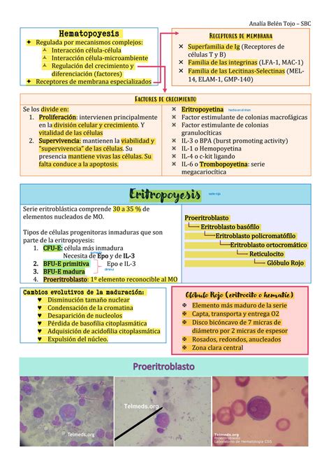 SOLUTION 1 Cl Nica Hematolog A Hematopoyesis Studypool