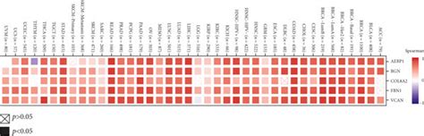 THBS2 Related Gene Enrichment Analysis A Experimentally Determined