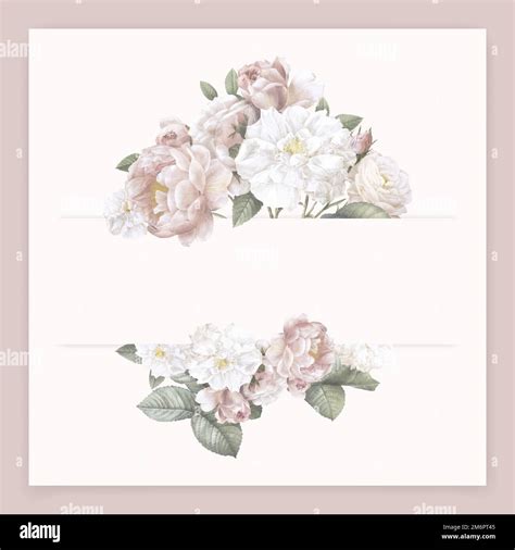 Elegant Floral Frame Design Vector Stock Vector Image And Art Alamy