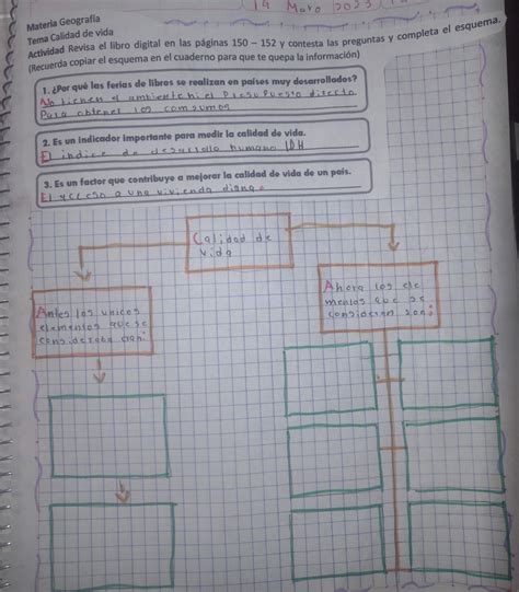 Calidad De Vida Esquema Ayuda Brainly Lat