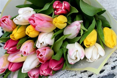 Tulipanes Flores Ramo Foto Gratis En Pixabay Pixabay